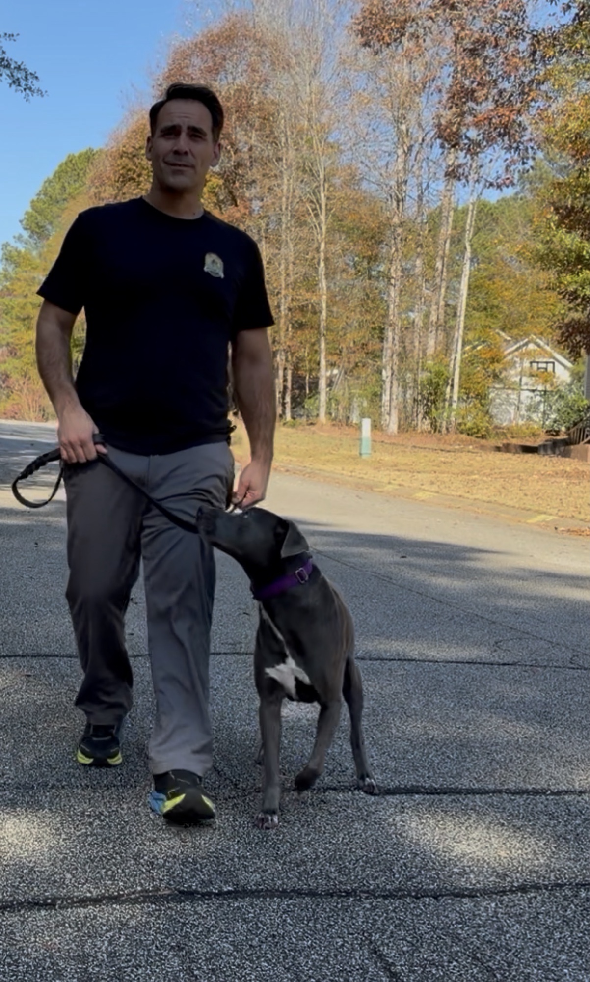 Joel walking a blue pit bull on leash