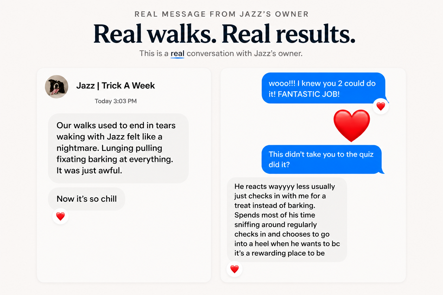 Message from Jazz's owner describing walks that went from tears and reactivity to calm check-ins