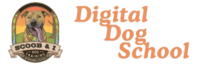 Digital Dog School