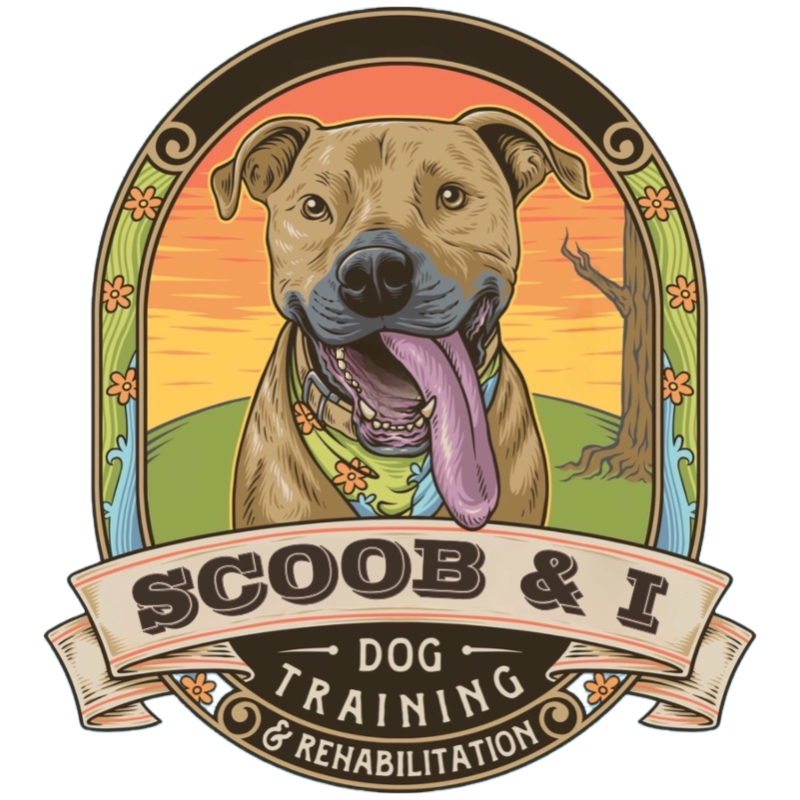Scoob & I Dog Training