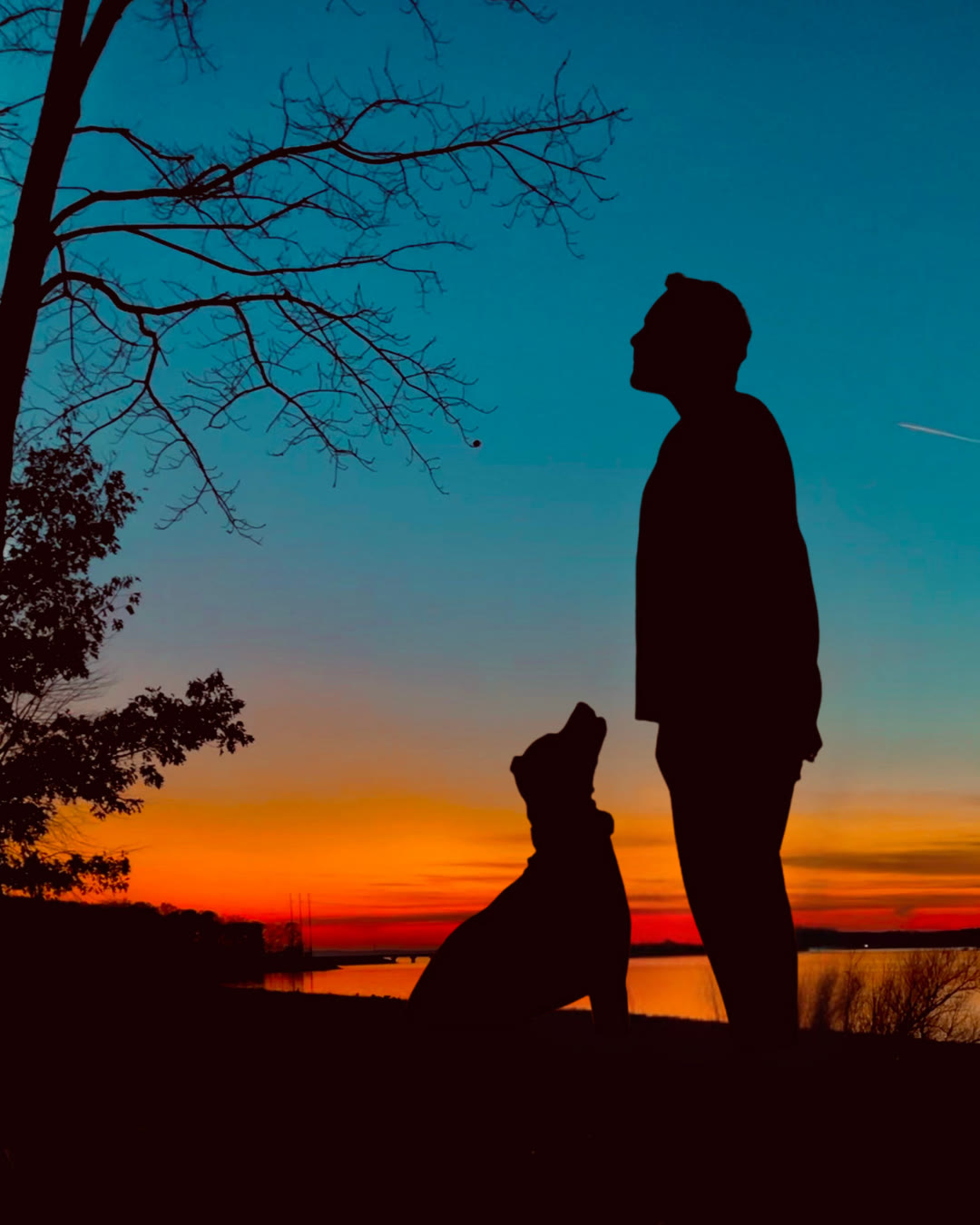 Joel and dog at sunset