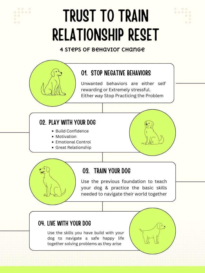 Trust to Train Relationship Reset - 4 steps of behavior change: Stop, Play, Train, Live