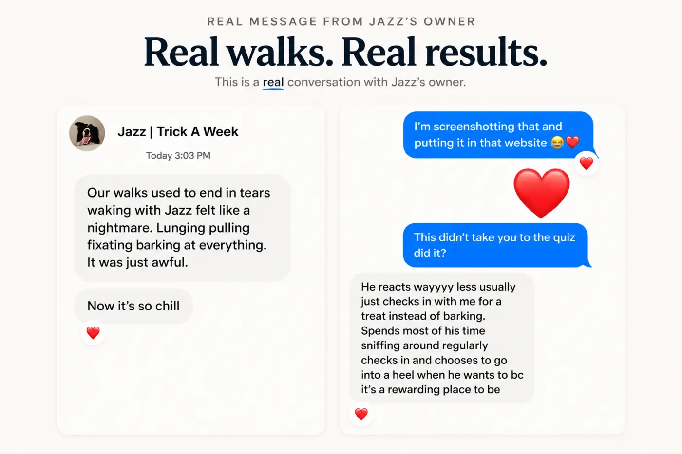 Message from Jazz's owner describing walks that once ended in tears and are now calm, with Jazz checking in instead of barking