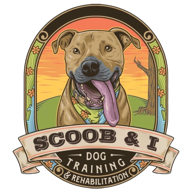 Scoob & I Dog Training
