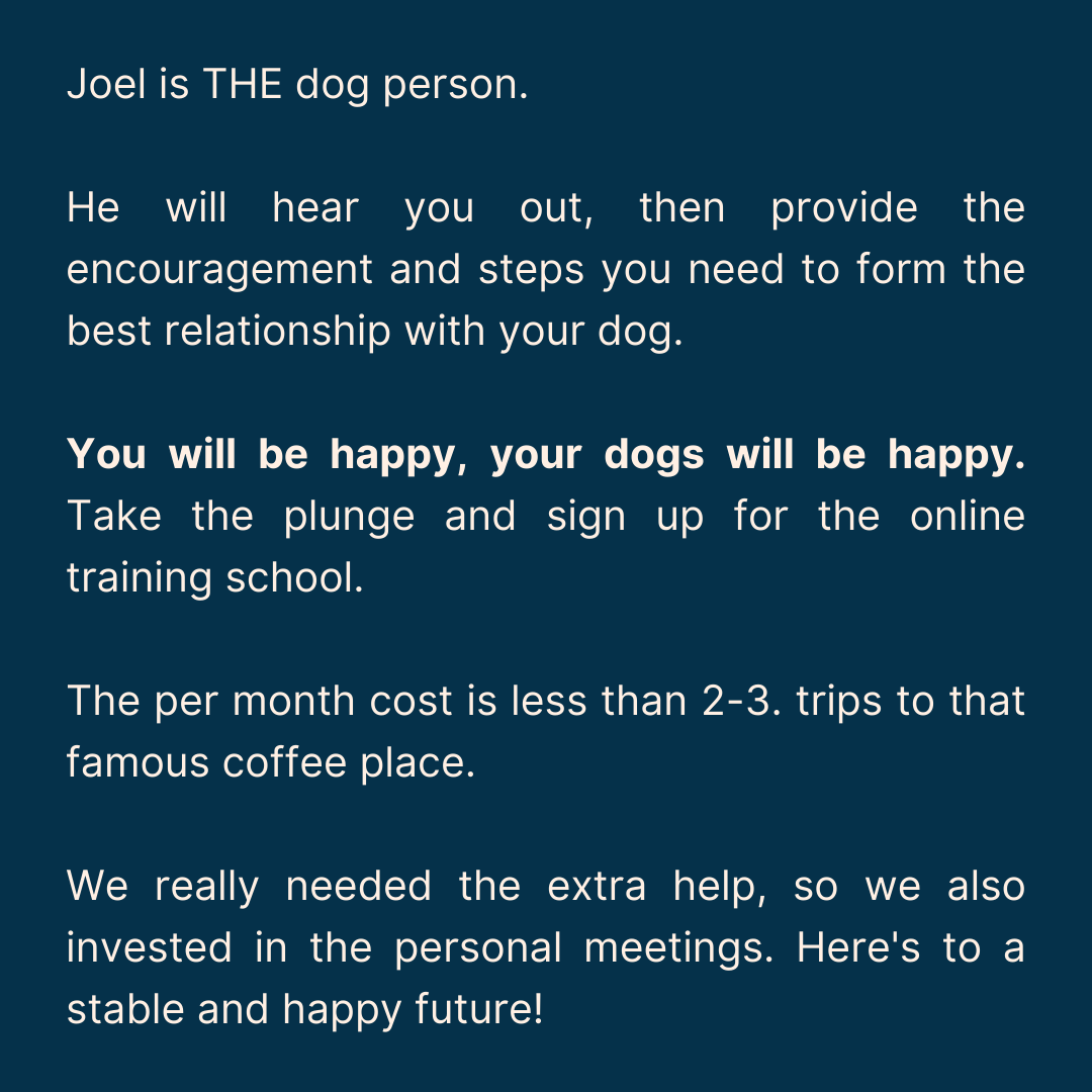 Client review: 'Joel is THE dog person. He will hear you out, then provide the encouragement and steps you need.'