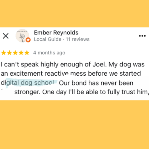 Five-star review from Ember Reynolds: 'My dog was an excitement reactive mess before we started Digital Dog School. Our bond has never been stronger.'