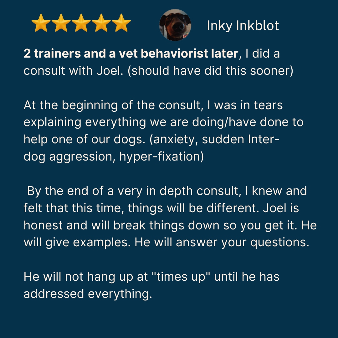 Inky review part 1 — 2 trainers and a vet behaviorist later, I did a consult with Joel