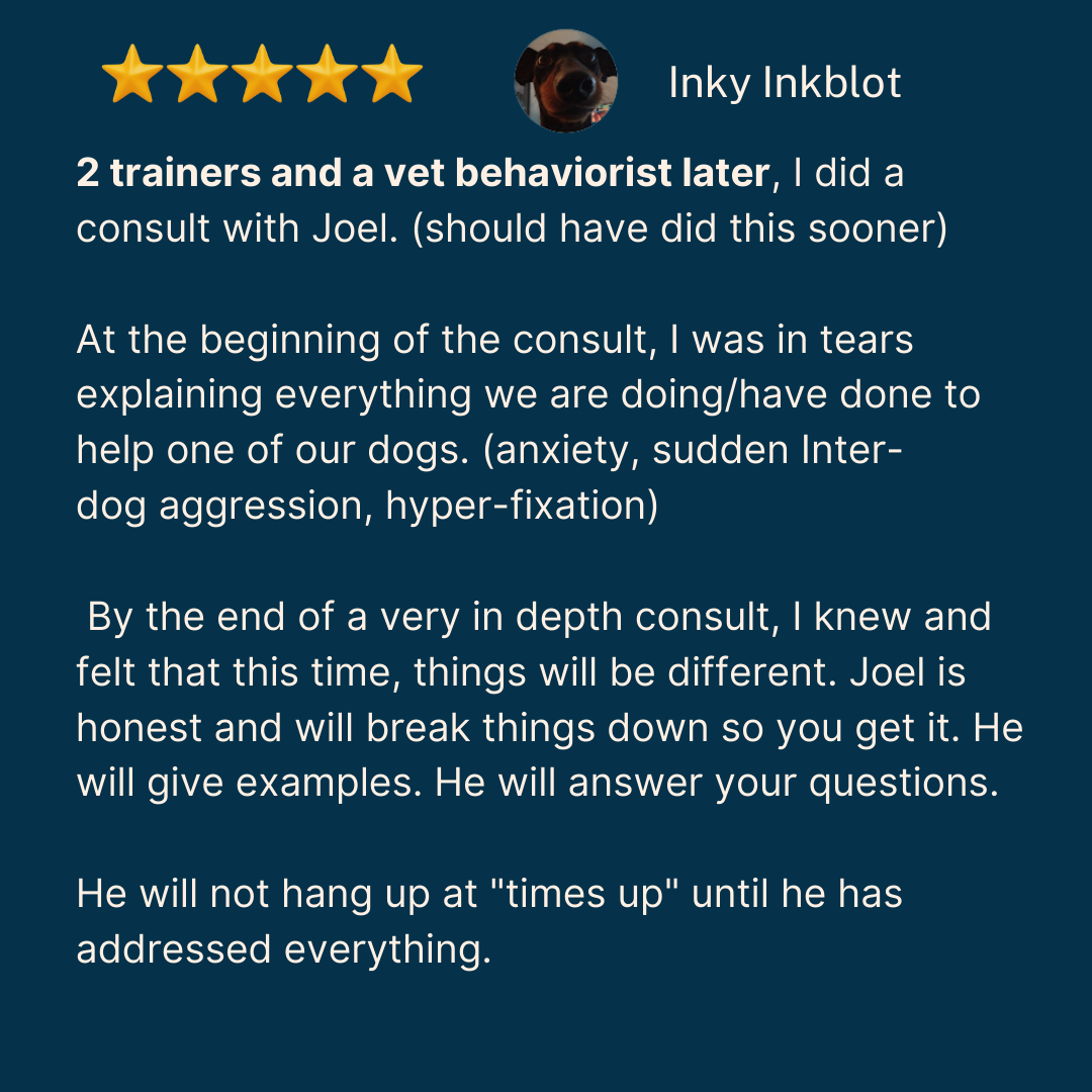 Five-star review from Inky Inkblot — 'Two trainers and a vet behaviorist later, I did a consult with Joel. Should have done this sooner.'